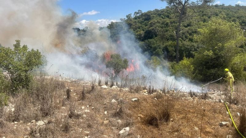שריפה בכמה מוקדים ביערות הכרמל; נעצר חשוד בהצתה