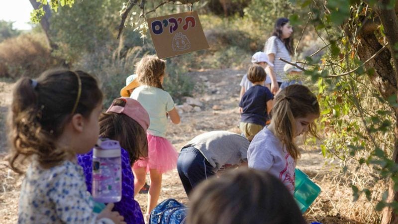 בלי קירות ובלי תקרה: "גן יער" נפתח לראשונה בחיפה 